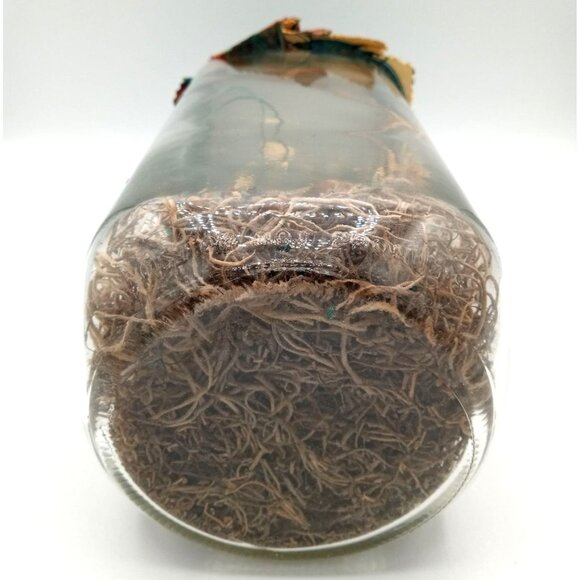 Aviary Glass Jar Native American Art Golden Harvest Southwest Bird Vintage 9.25" - Picture 12 of 15